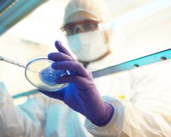 scientist in a clean room