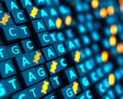 Futuristic 3d cubes background with DNA sequencing ACGT and double helix. Nucleic acid sequence. Genetic research. 3d illustration.