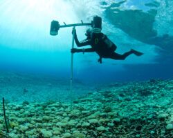 marine biologist