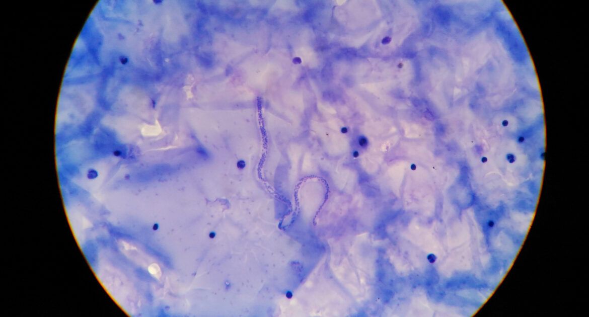 Parasitology Jobs Profile - microfilaria tissue parasite infection to human in parasitology.