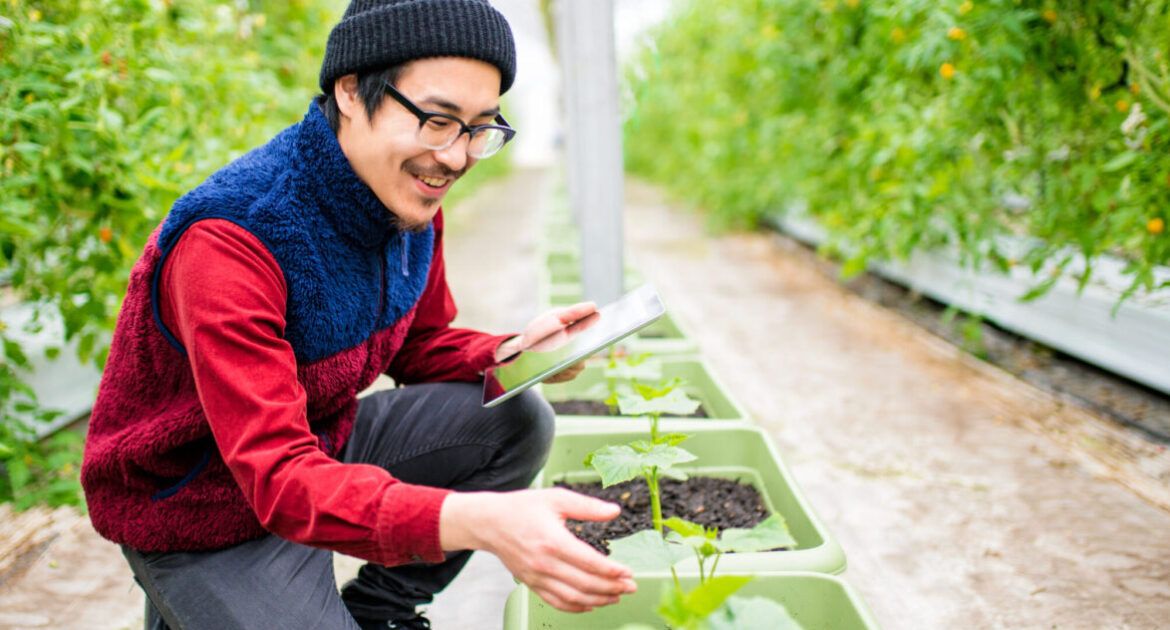 scientist conducting research using a digital tablet in a greenhouse