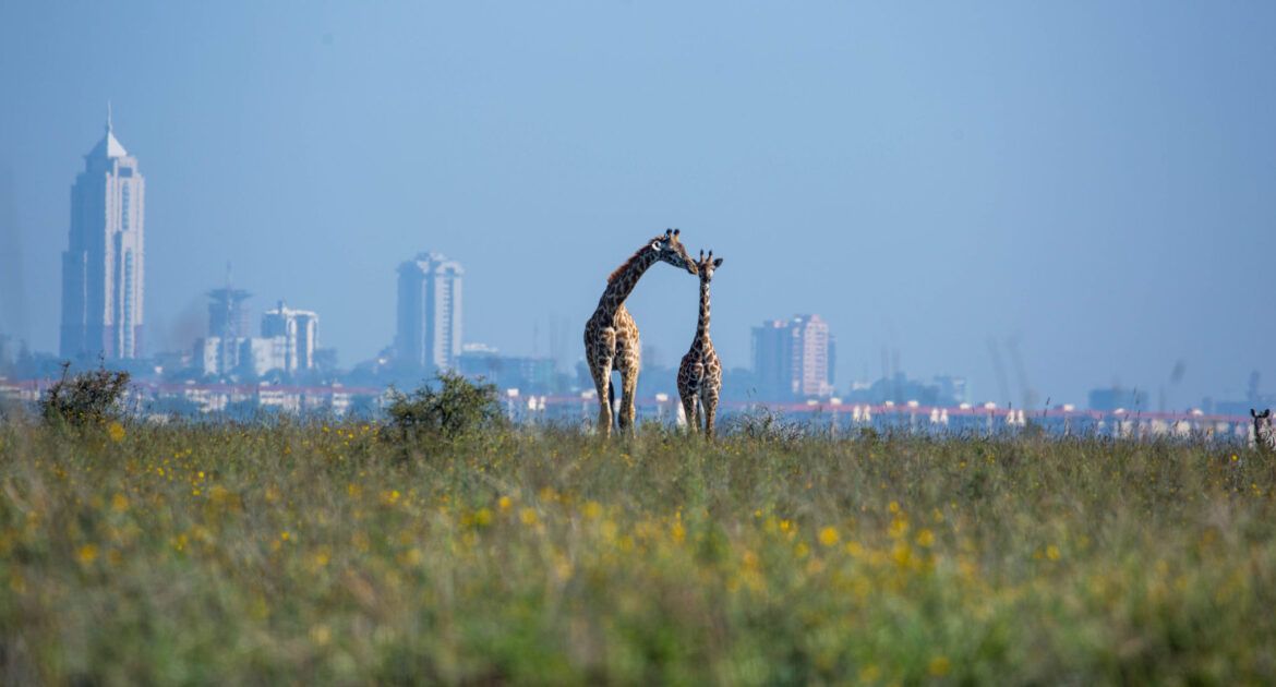 kenya